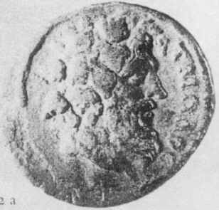 Tmolus 2.JPG